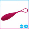Multi-speed Wireless Remote Control Egg/Bullet Vibrator